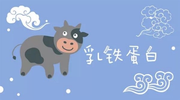 進口乳鐵蛋白粉報關(guān)注意事項以及中文標簽注明內(nèi)容