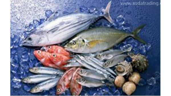冷凍海鮮報關(guān)清關(guān)流程