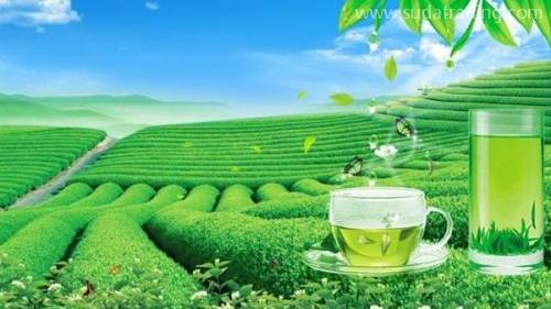 上海茶葉進(jìn)口報(bào)關(guān)代理需要哪些單證資料？進(jìn)口流程是怎樣的？