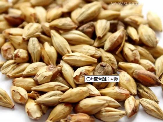 麥芽進(jìn)口報(bào)關(guān)流程詳解 麥芽進(jìn)口報(bào)關(guān)流程詳解