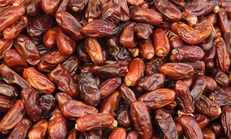 沙特阿拉伯干椰棗進(jìn)口報(bào)關(guān)的注意事項(xiàng)，看就知道了