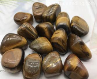 上海進口德國?；穲箨P(guān)的注意事項
