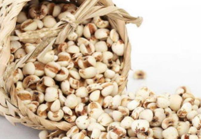 薏米進(jìn)口報(bào)關(guān)清關(guān)流程知識(shí)話你知 薏米進(jìn)口報(bào)關(guān)清關(guān)流程知識(shí)話你知