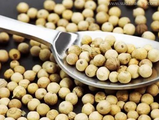 胡椒進(jìn)口知識話你知 胡椒進(jìn)口知識話你知