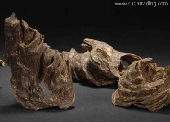 沉香進口報關清關知識 沉香進口報關清關知識