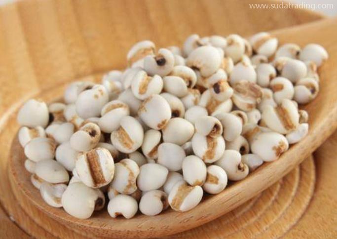 薏米進口報關清關流程了解一下