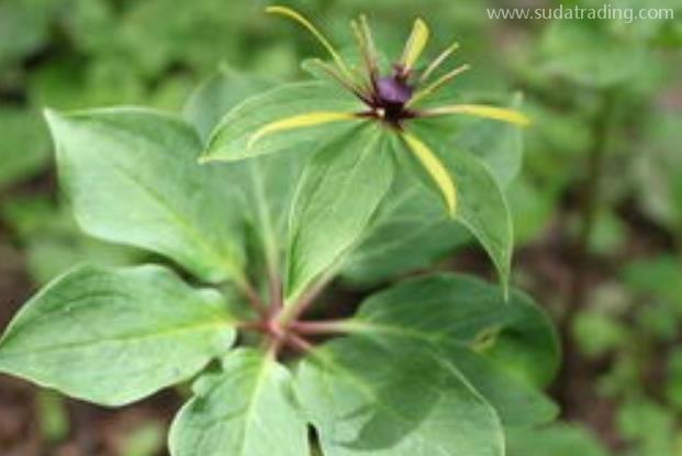 重樓進(jìn)口報關(guān)清關(guān)流程 重樓進(jìn)口報關(guān)清關(guān)流程