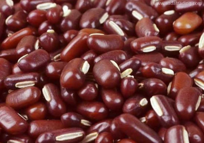 赤小豆進(jìn)口報(bào)關(guān)清關(guān)流程話(huà)你知 赤小豆進(jìn)口報(bào)關(guān)清關(guān)流程話(huà)你知