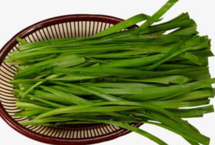 韭菜進(jìn)口報(bào)關(guān)清關(guān)知識有哪些? 韭菜進(jìn)口報(bào)關(guān)清關(guān)知識有哪些?