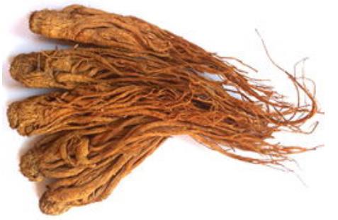 當(dāng)歸進(jìn)口申報(bào)資料詳解 當(dāng)歸進(jìn)口申報(bào)資料詳解