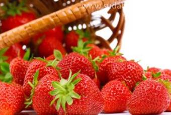 草莓進口報關(guān)清關(guān)知識詳解 草莓進口報關(guān)清關(guān)知識詳解