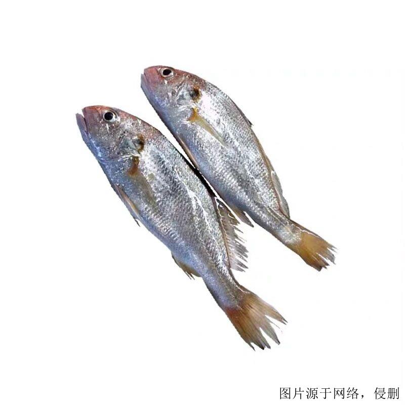 越南白姑魚進(jìn)口清關(guān)流程-19年廣州水產(chǎn)品進(jìn)口報關(guān)行
