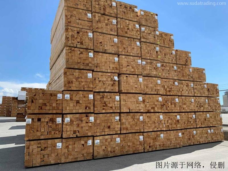 白俄羅斯進口報關(guān)公司哪家好？白俄羅斯木材清關(guān)流程
