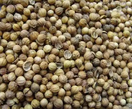 香菜籽的進(jìn)口清關(guān)流程及所需資料 香菜籽的進(jìn)口清關(guān)流程及所需資料