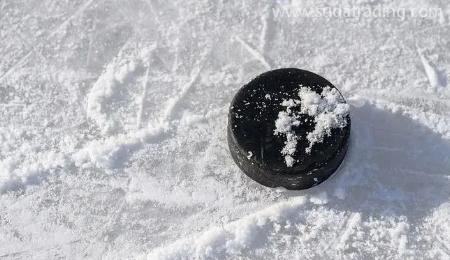 【進(jìn)口知識】冰雪運(yùn)動(dòng)器械的歸類“密碼” 【進(jìn)口知識】冰雪運(yùn)動(dòng)器械的歸類“密碼”